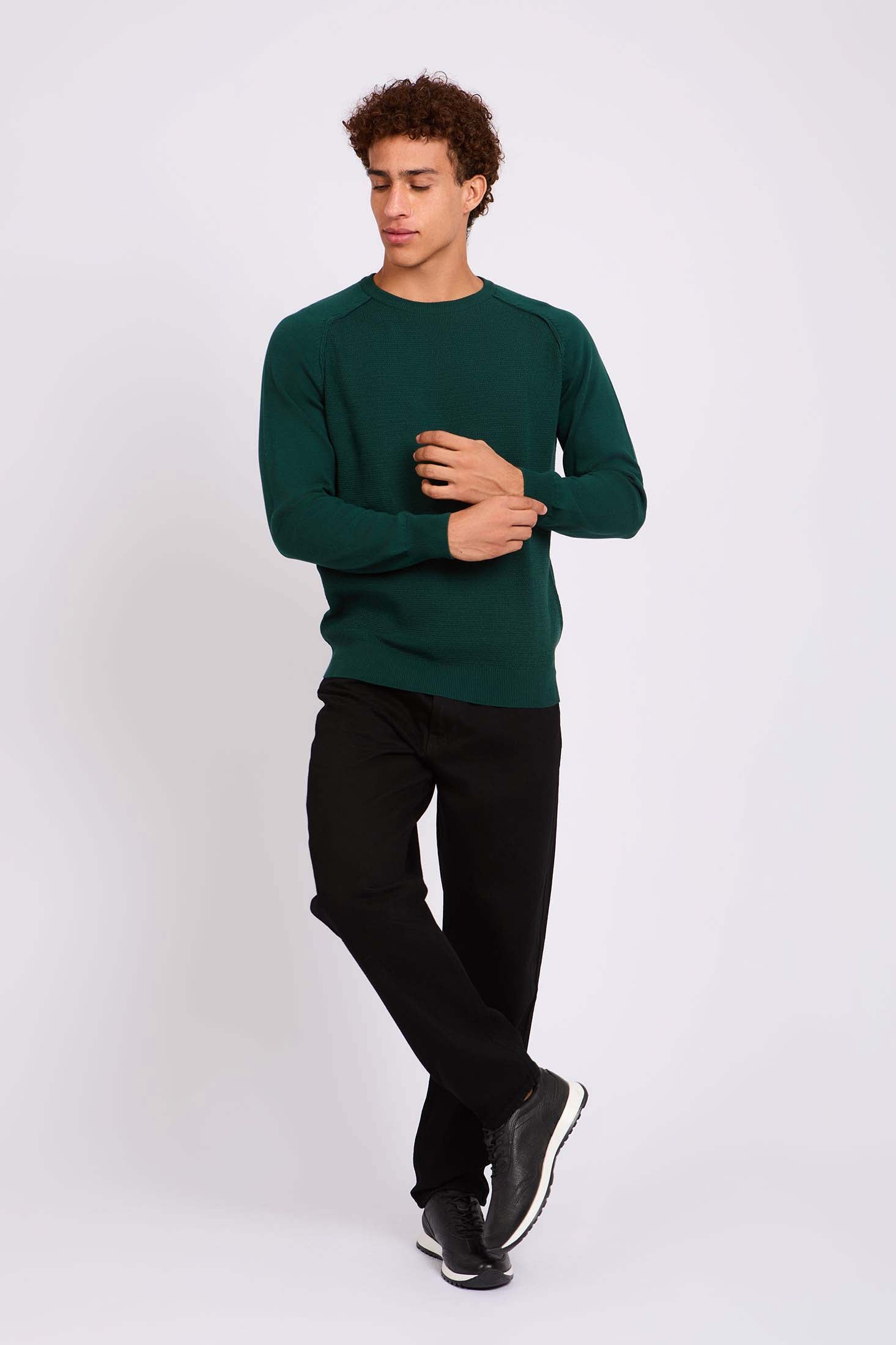 Men Pullover Regular Fit Green