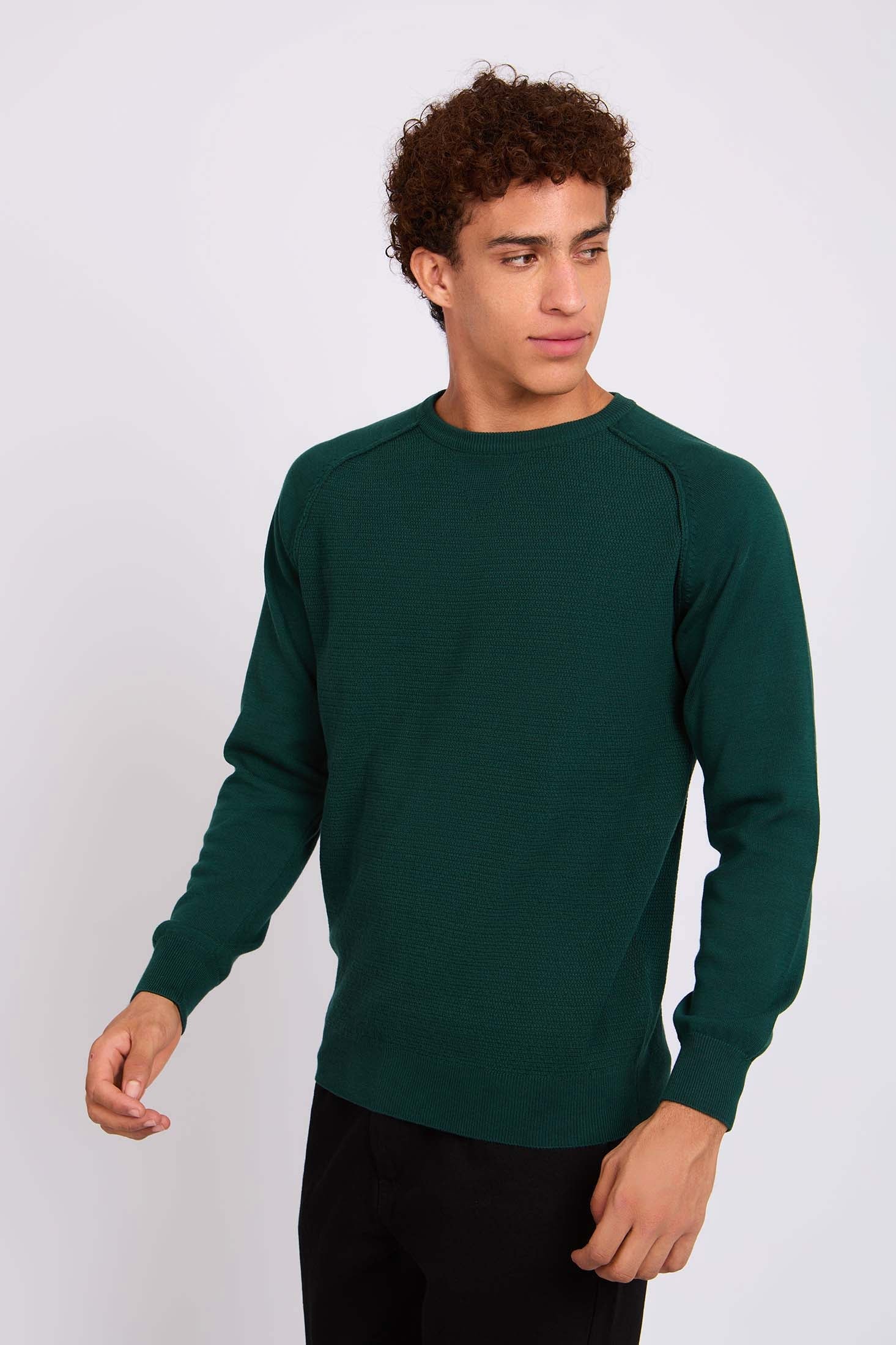 Men Pullover Regular Fit Green