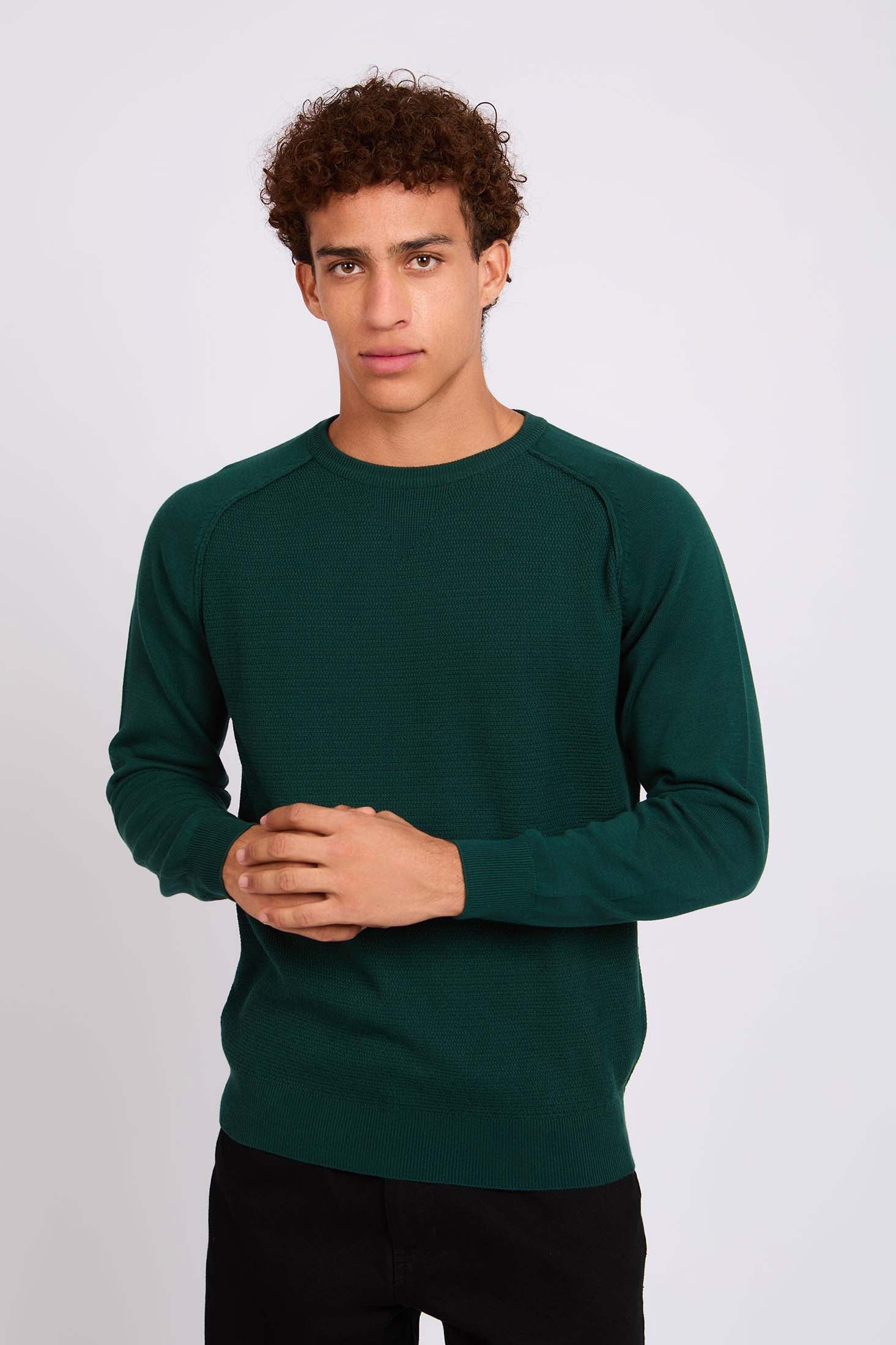 Men Pullover Regular Fit Green