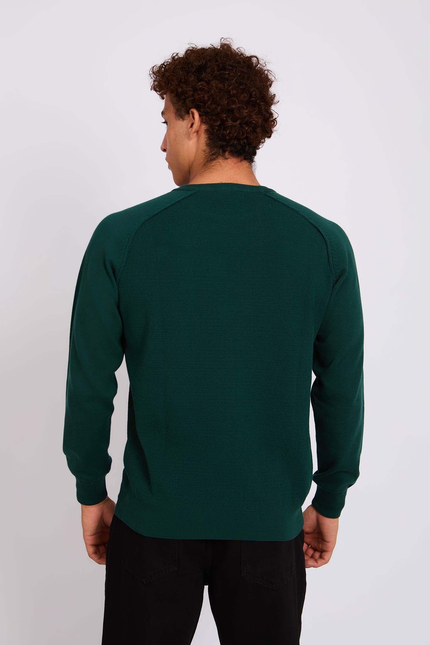 Men Pullover Regular Fit Green