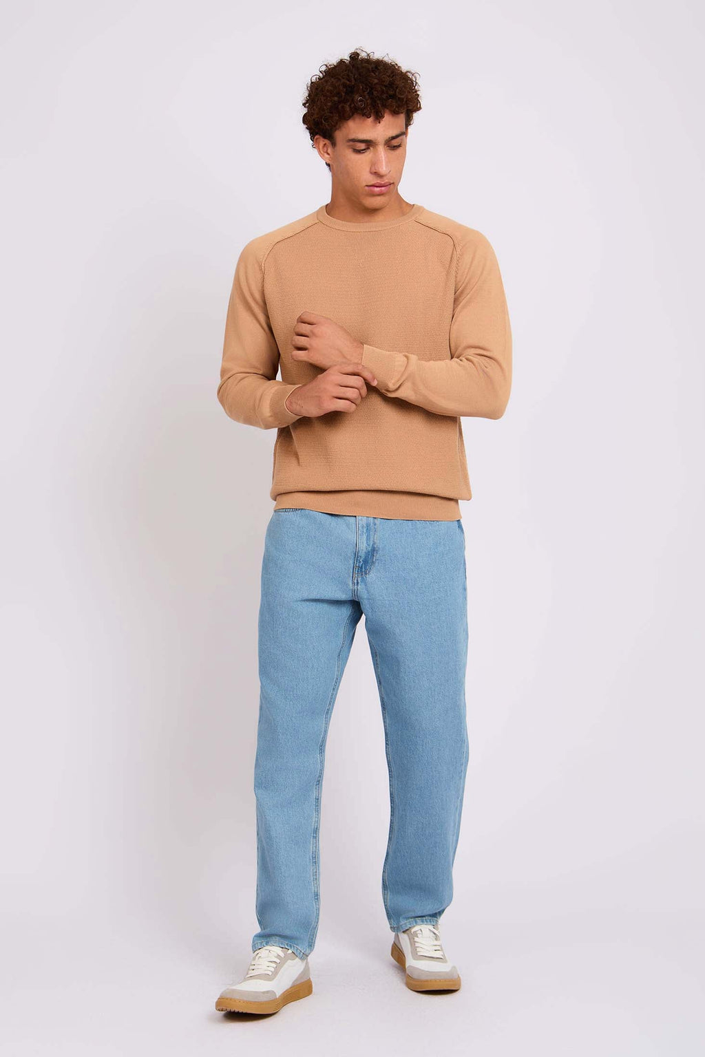 Men Pullover Regular Fit  Beige