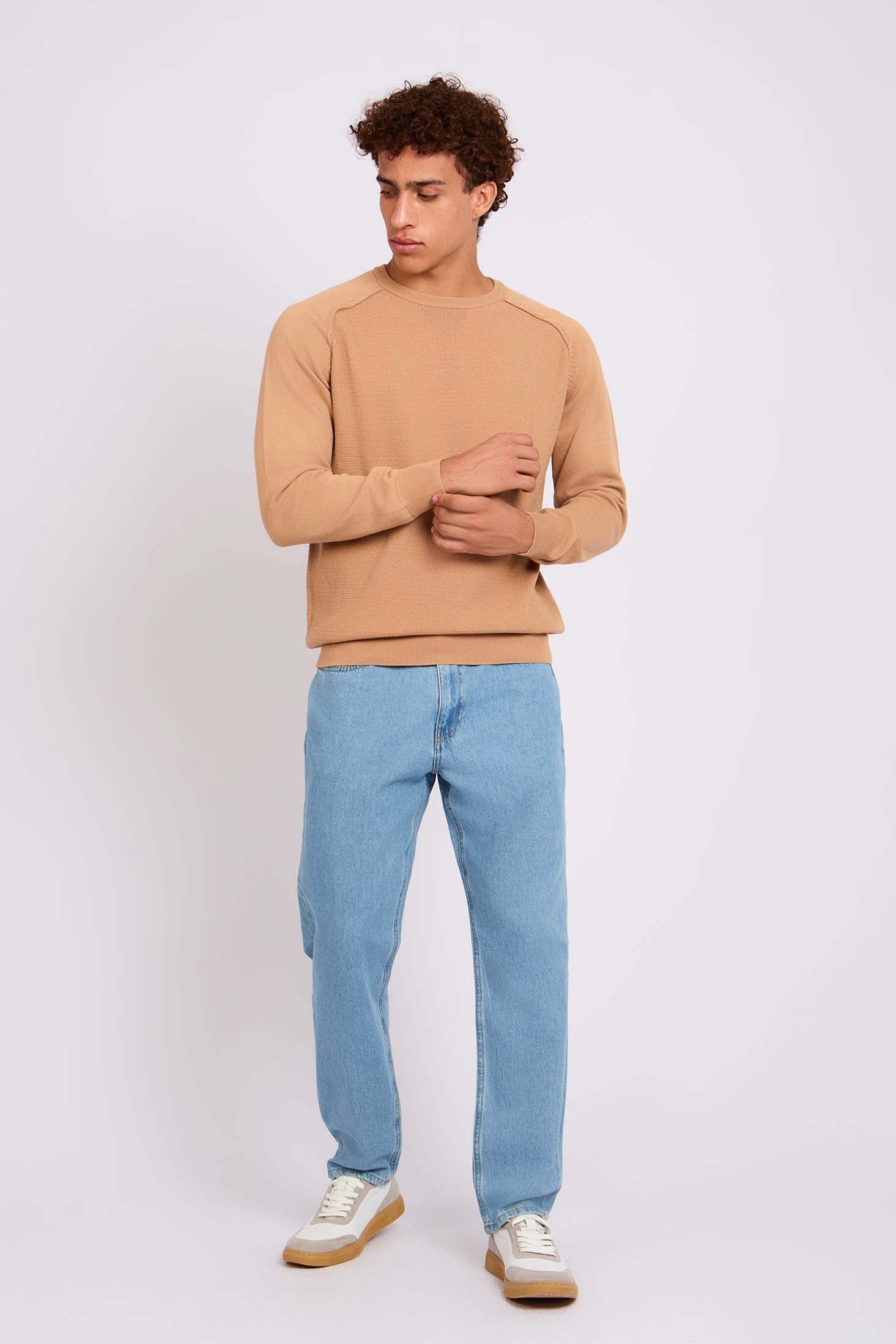 Men Pullover Regular Fit  Beige