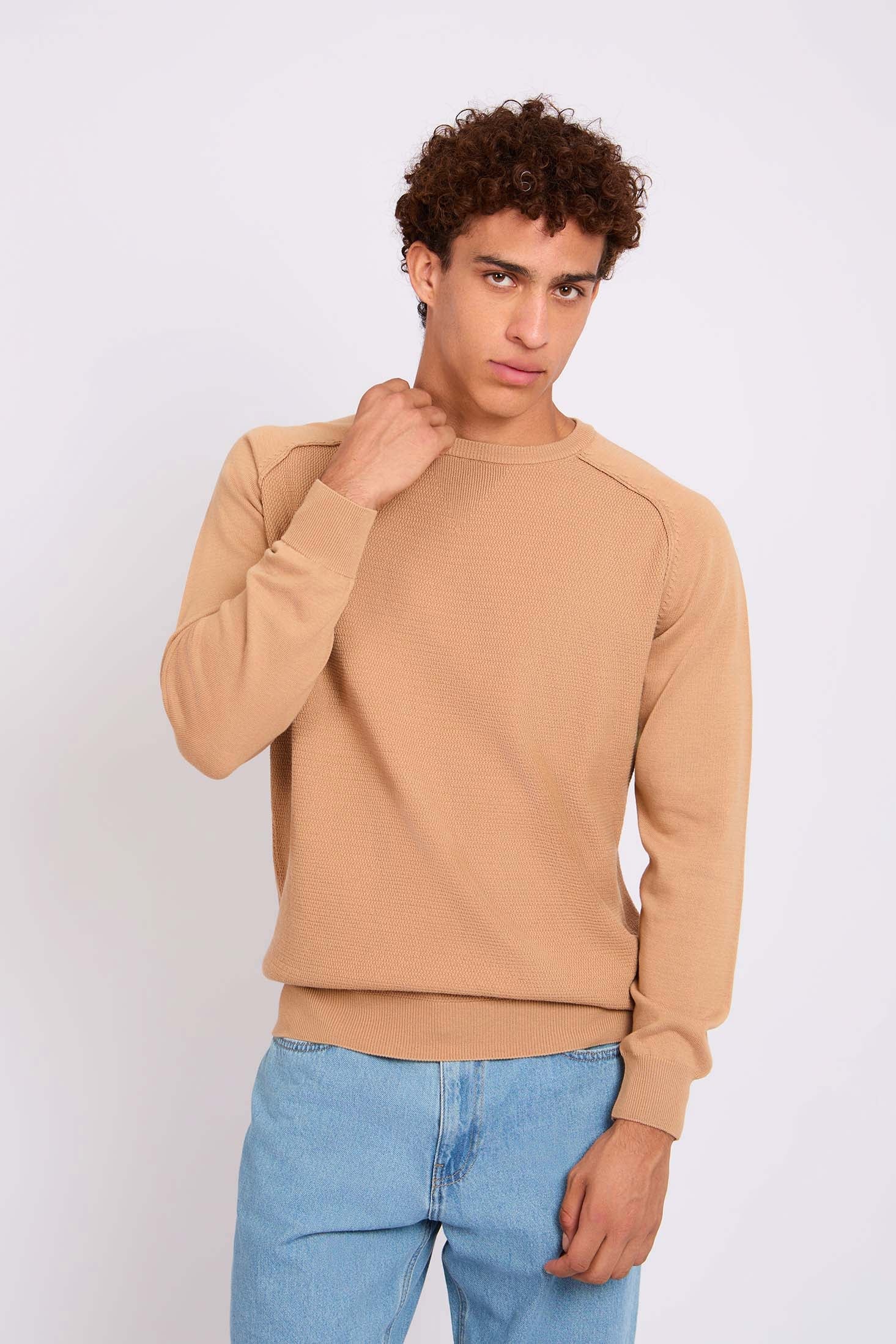 Men Pullover Regular Fit  Beige