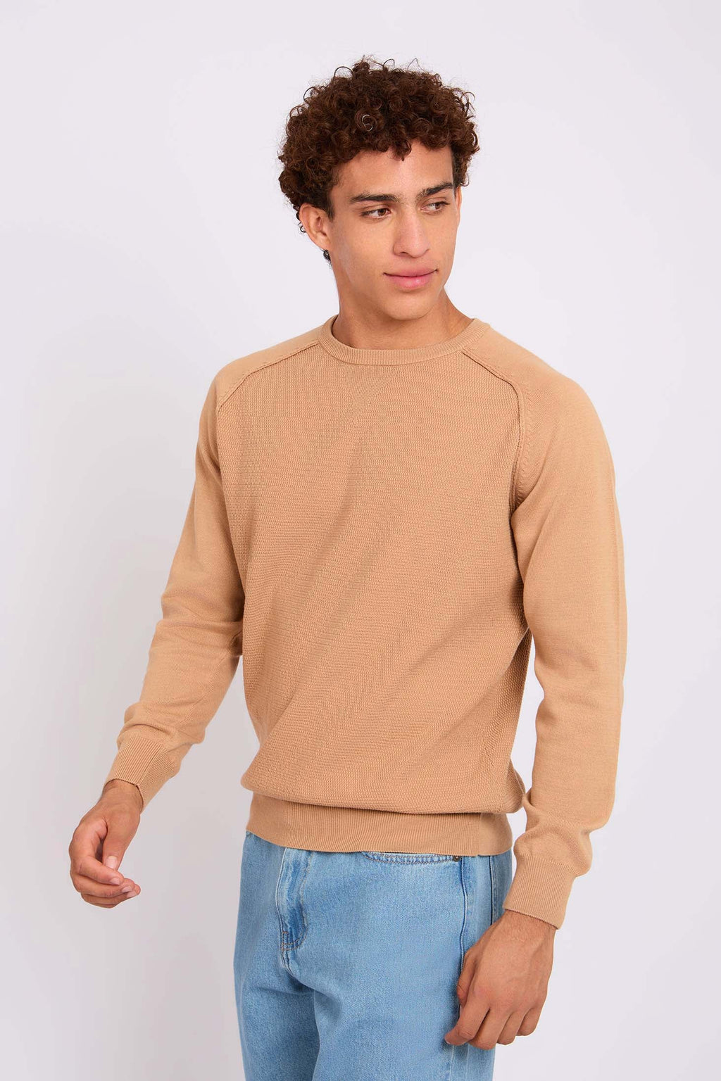 Men Pullover Regular Fit  Beige