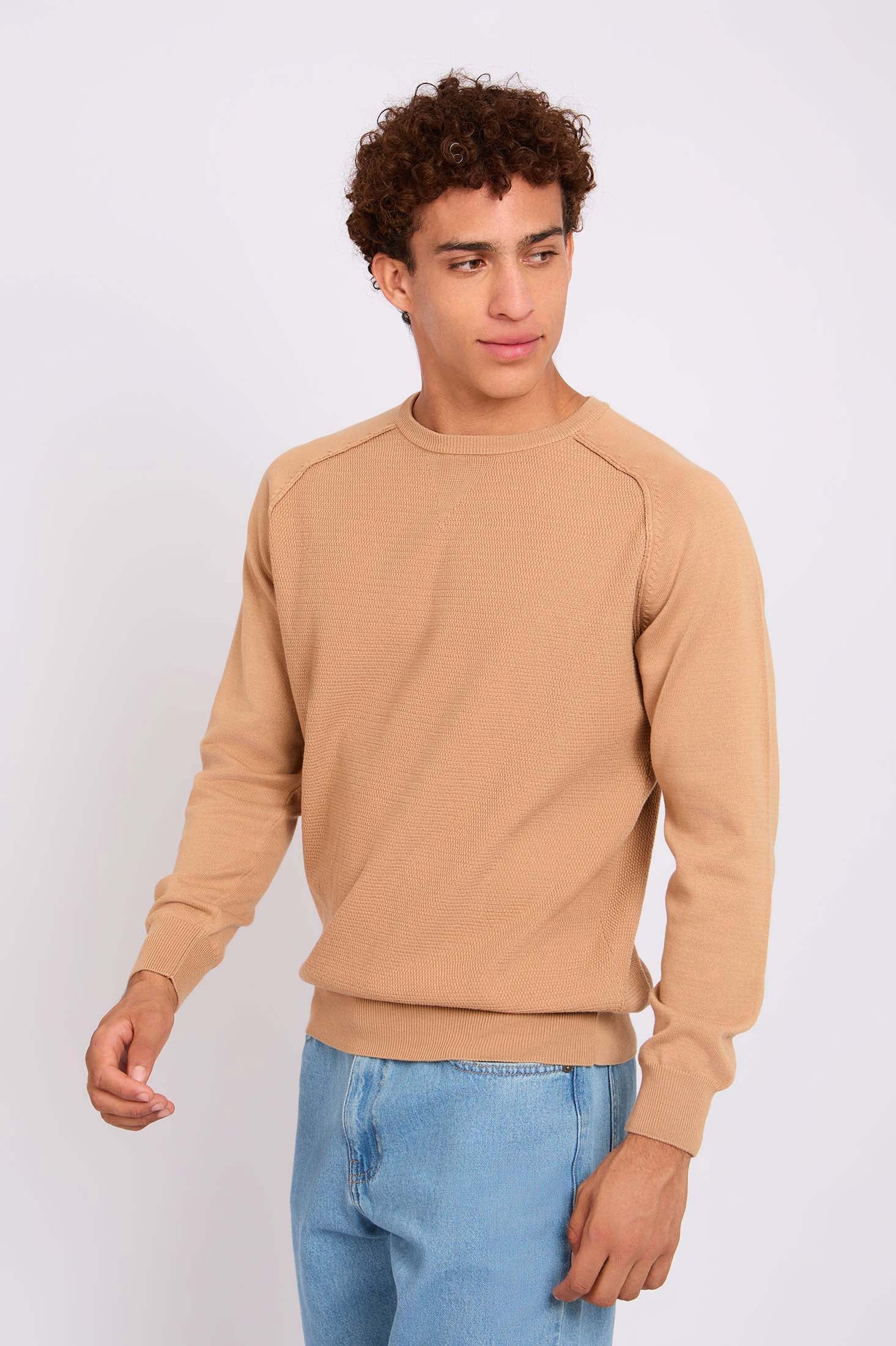 Men Pullover Regular Fit  Beige