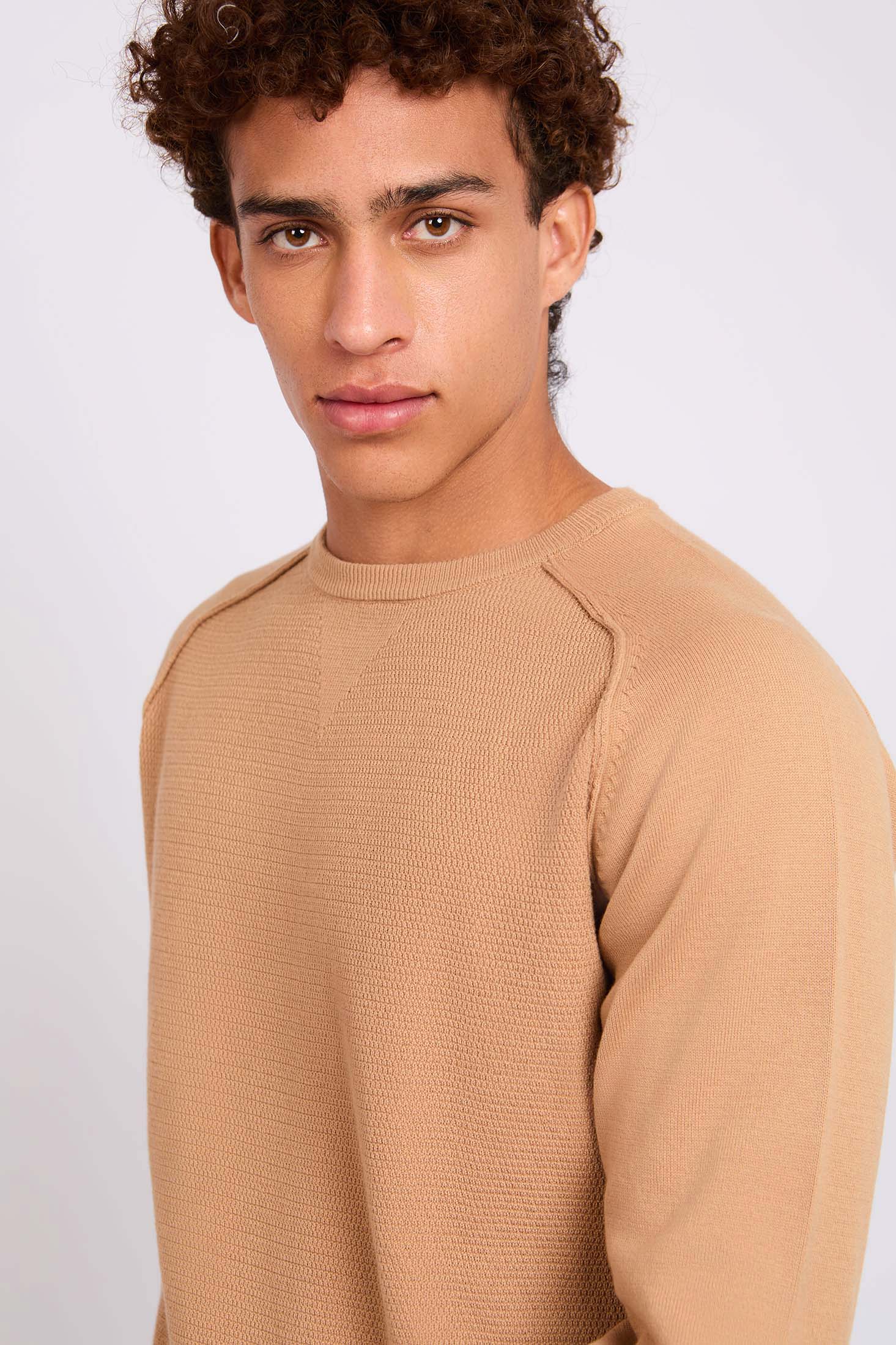 Men Pullover Regular Fit  Beige