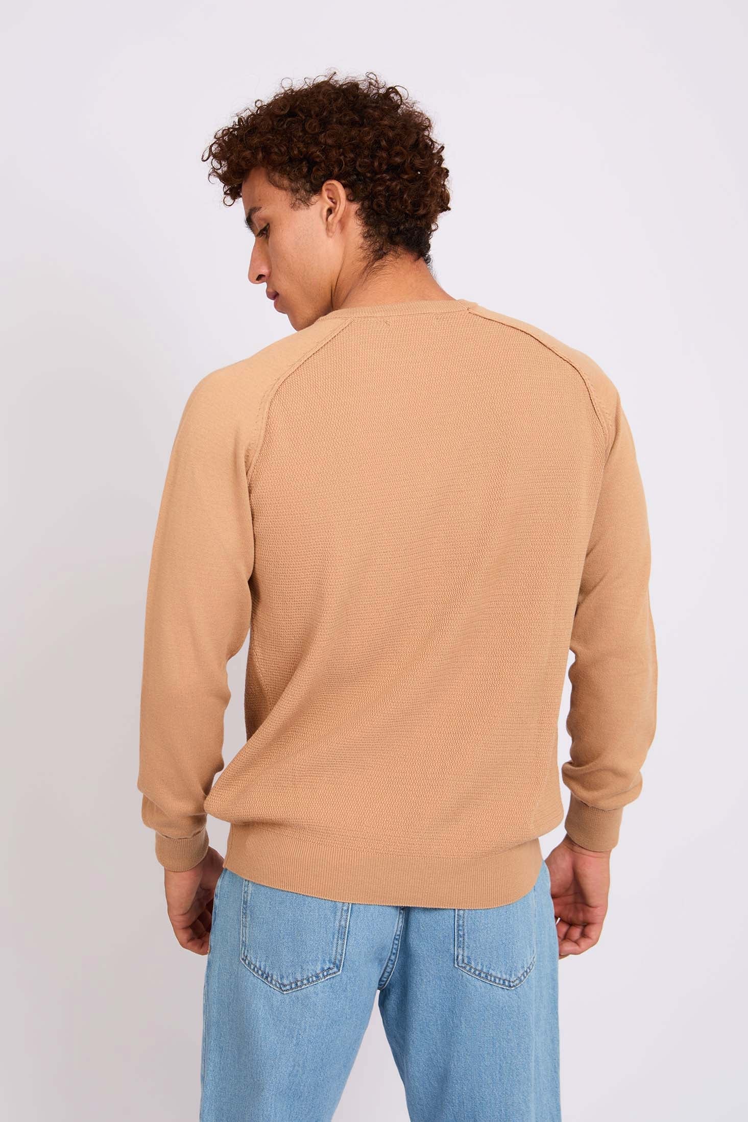 Men Pullover Regular Fit  Beige