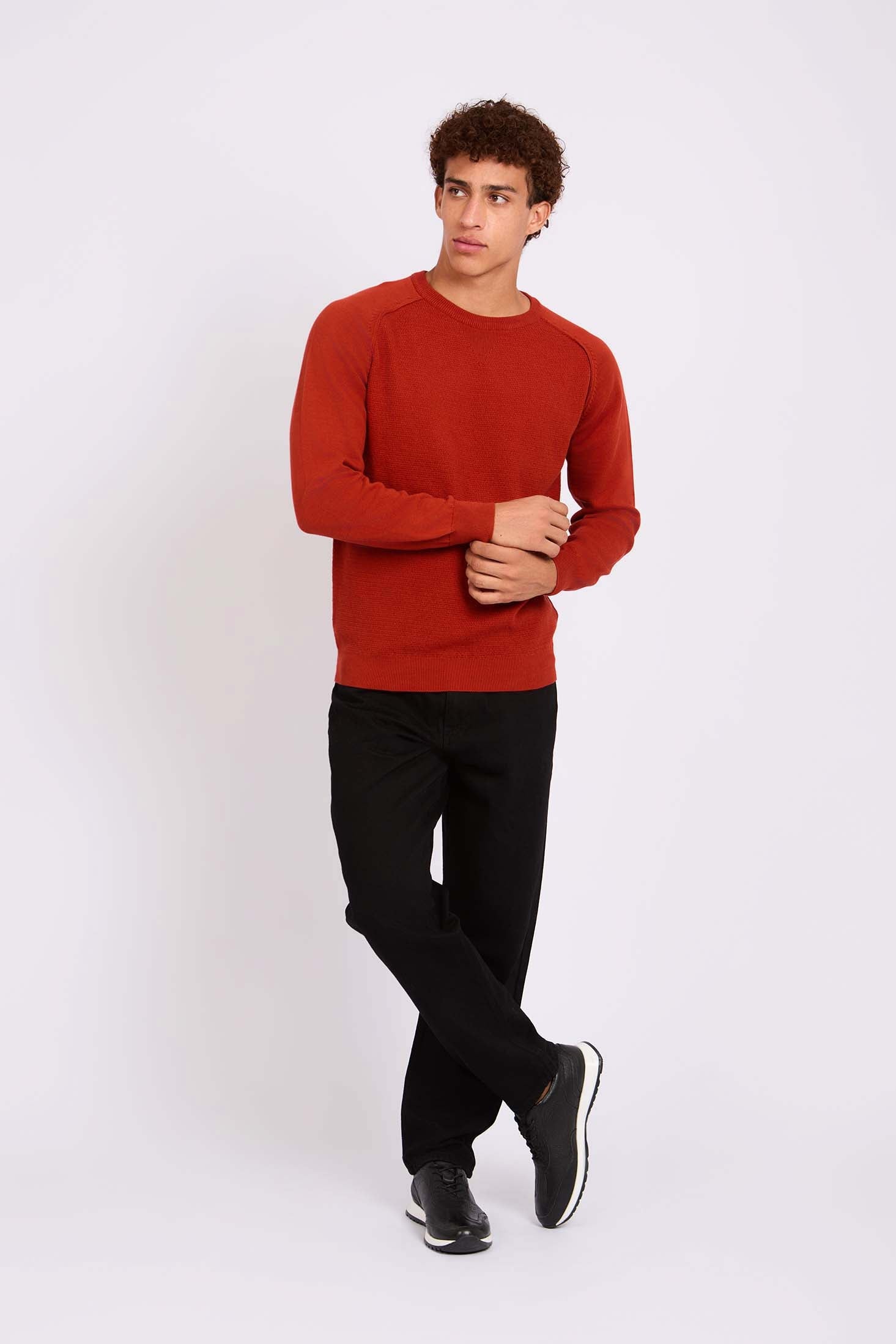 Men Regular Fit Pullover Red