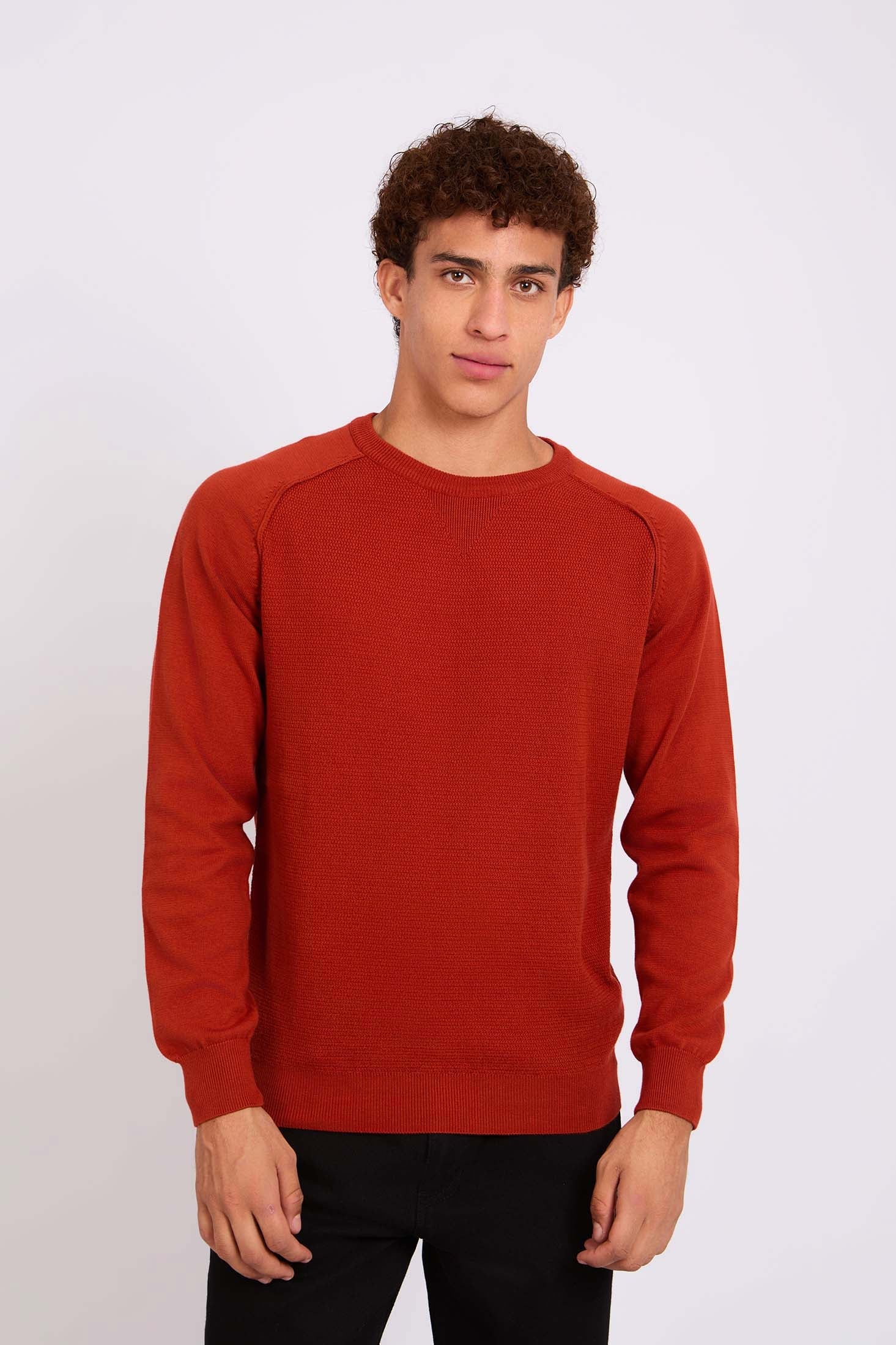 Men Regular Fit Pullover Red