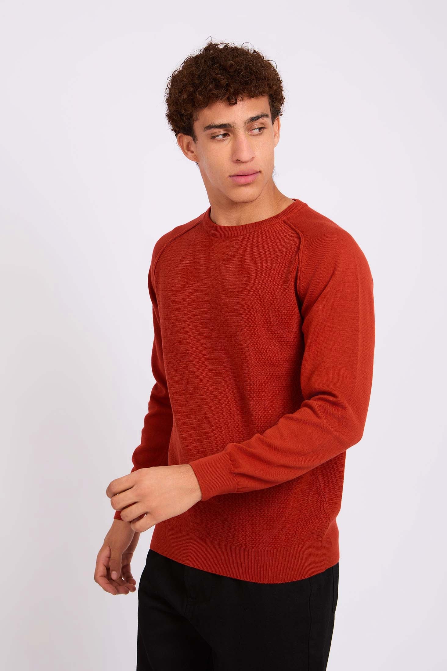 Men Regular Fit Pullover Red