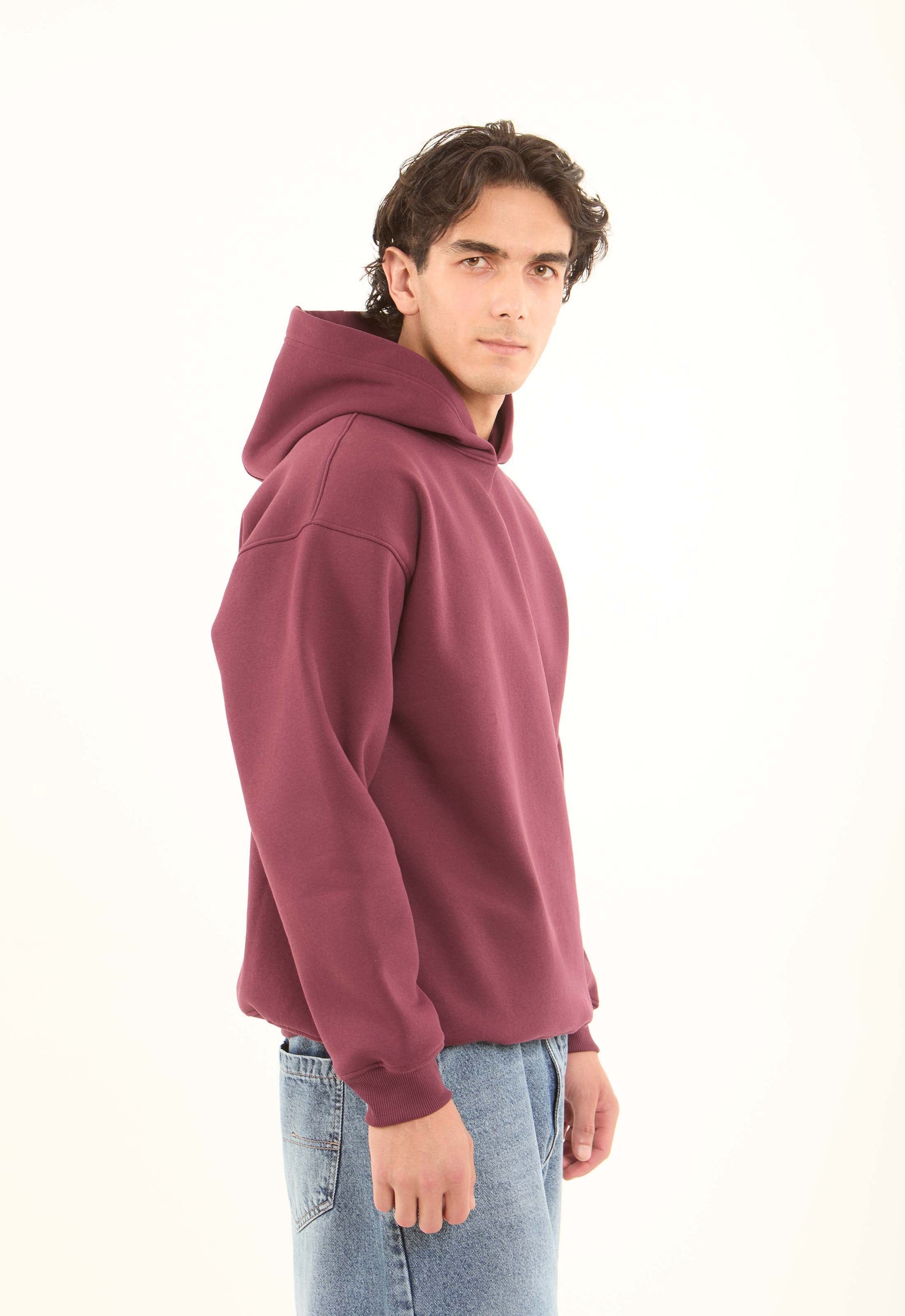 Solid Regular Fit Winter Hoodie