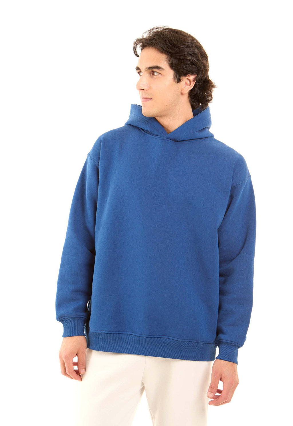 Solid Regular Fit Winter Hoodie