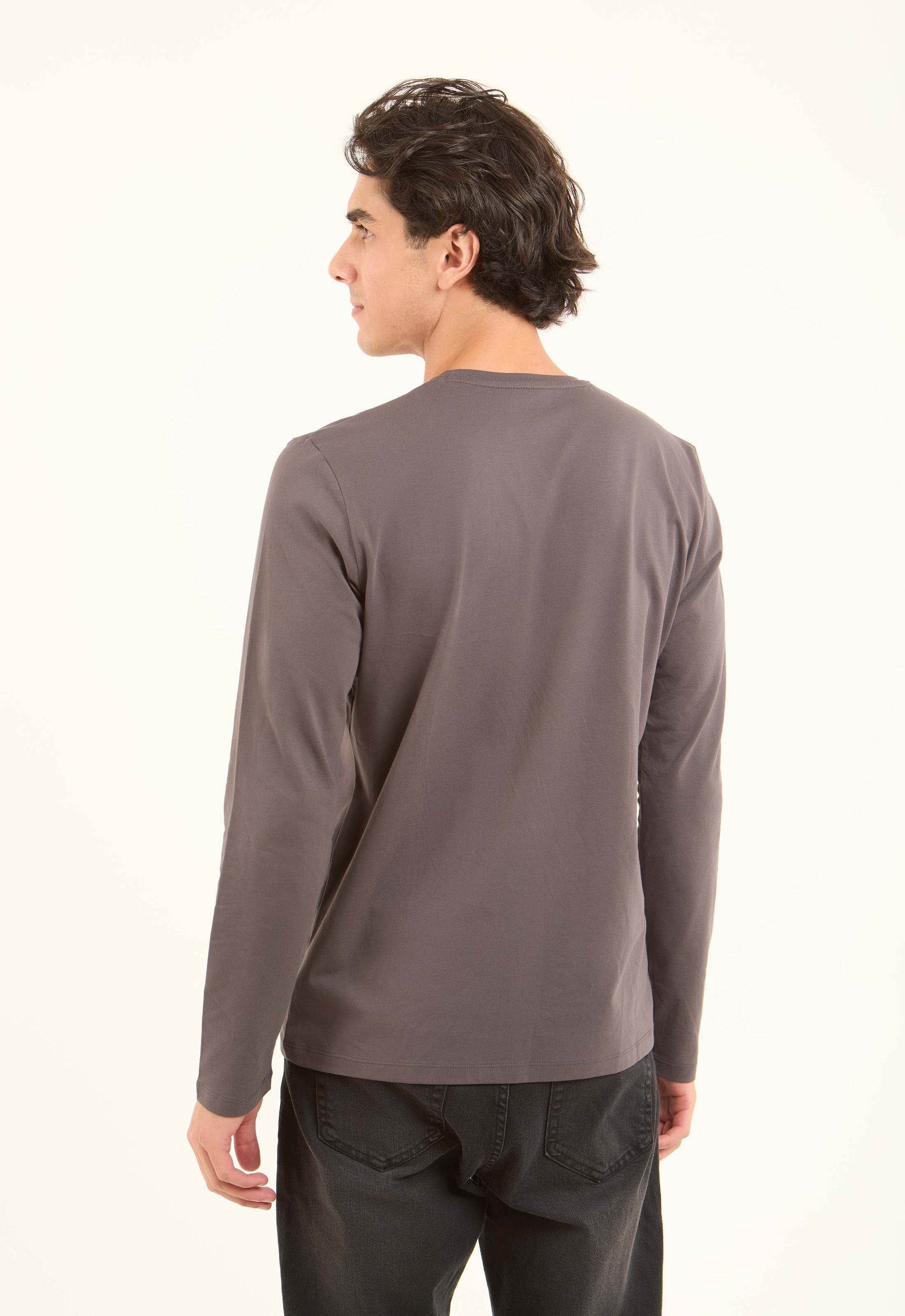 Crew Neck Solid Long Sleeves Basic Tee