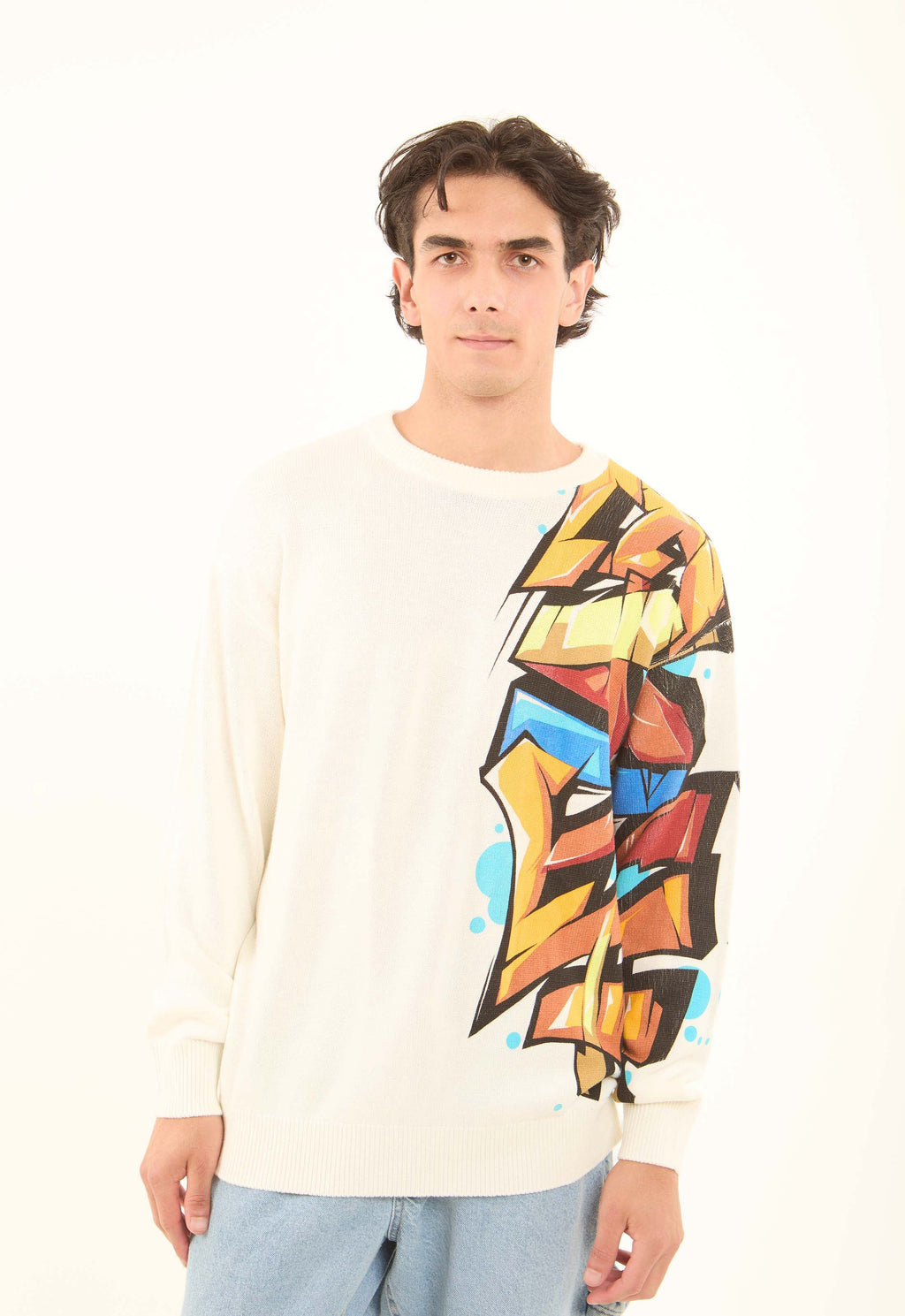 Colorful Printed Sleeve Knitted Pullover