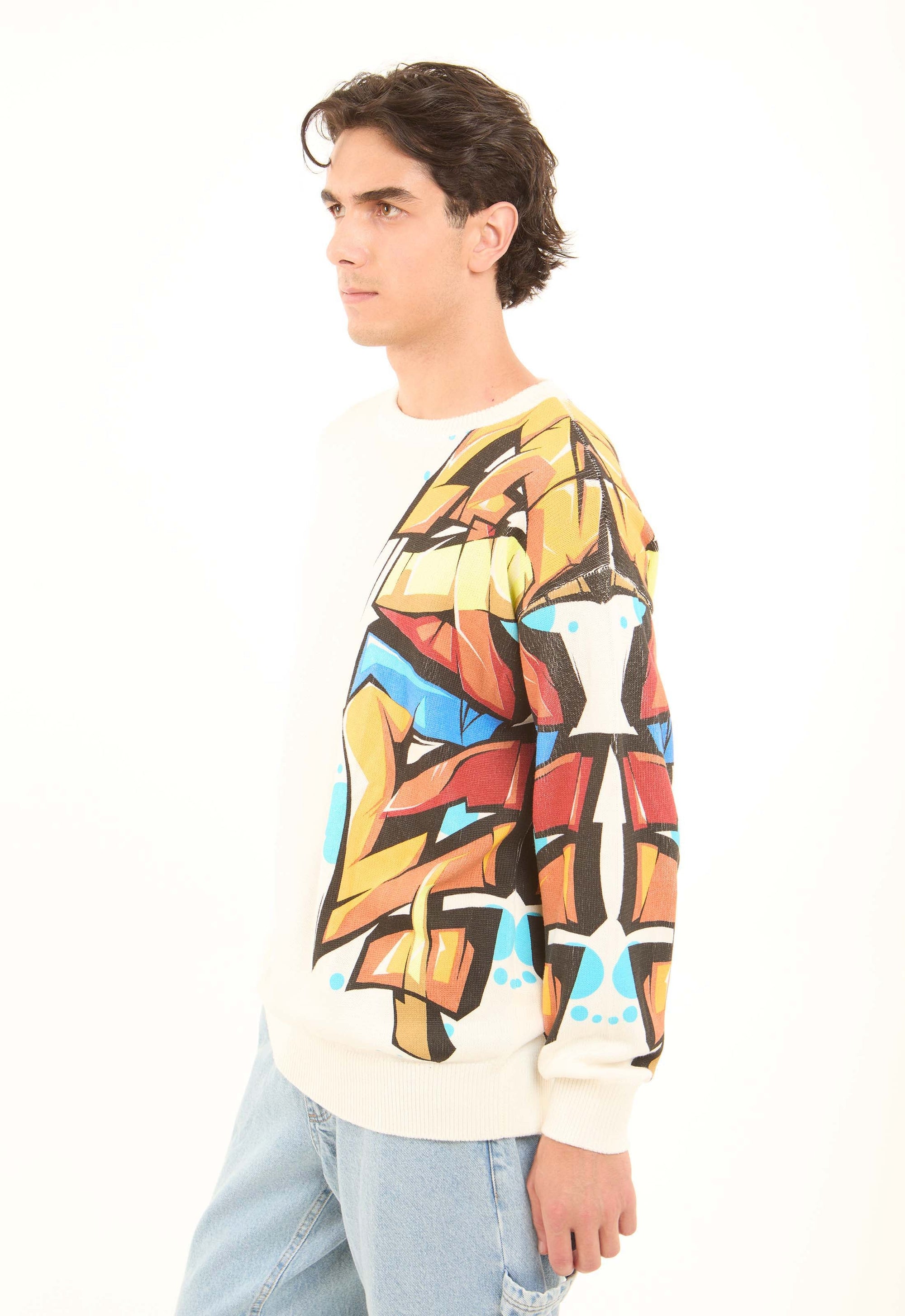 Colorful Printed Sleeve Knitted Pullover