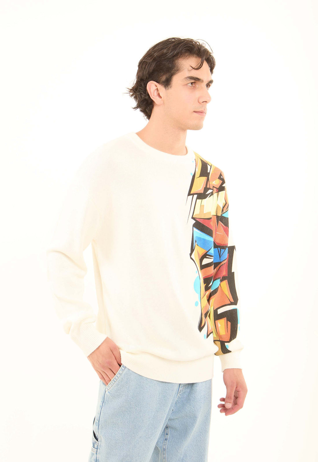 Colorful Printed Sleeve Knitted Pullover