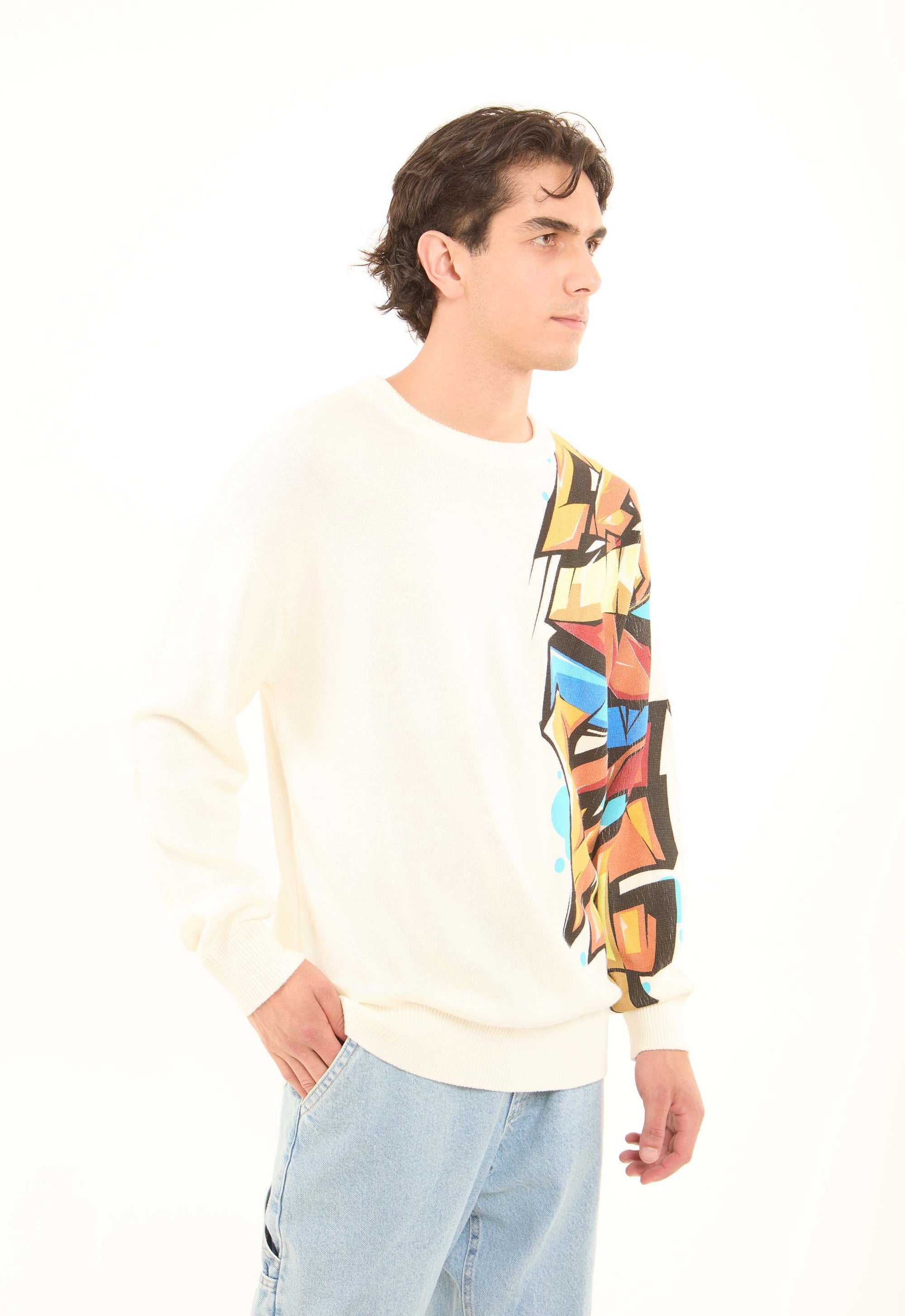 Colorful Printed Sleeve Knitted Pullover